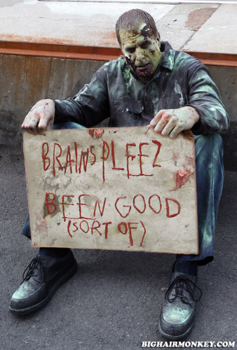 The sign is designed by Yvonne Willemsen as a take on the zombie "Will Work for Brainz" meme. Check out more of her art at Willagher's World via Zazzle homeless Zombie will work for brains brainz